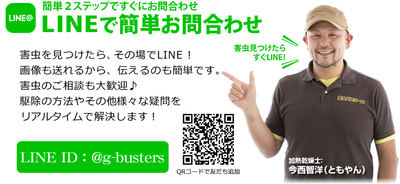 お問い合わせ　ライン＠　LINE＠　ラインアット　トコジラミ　南京虫